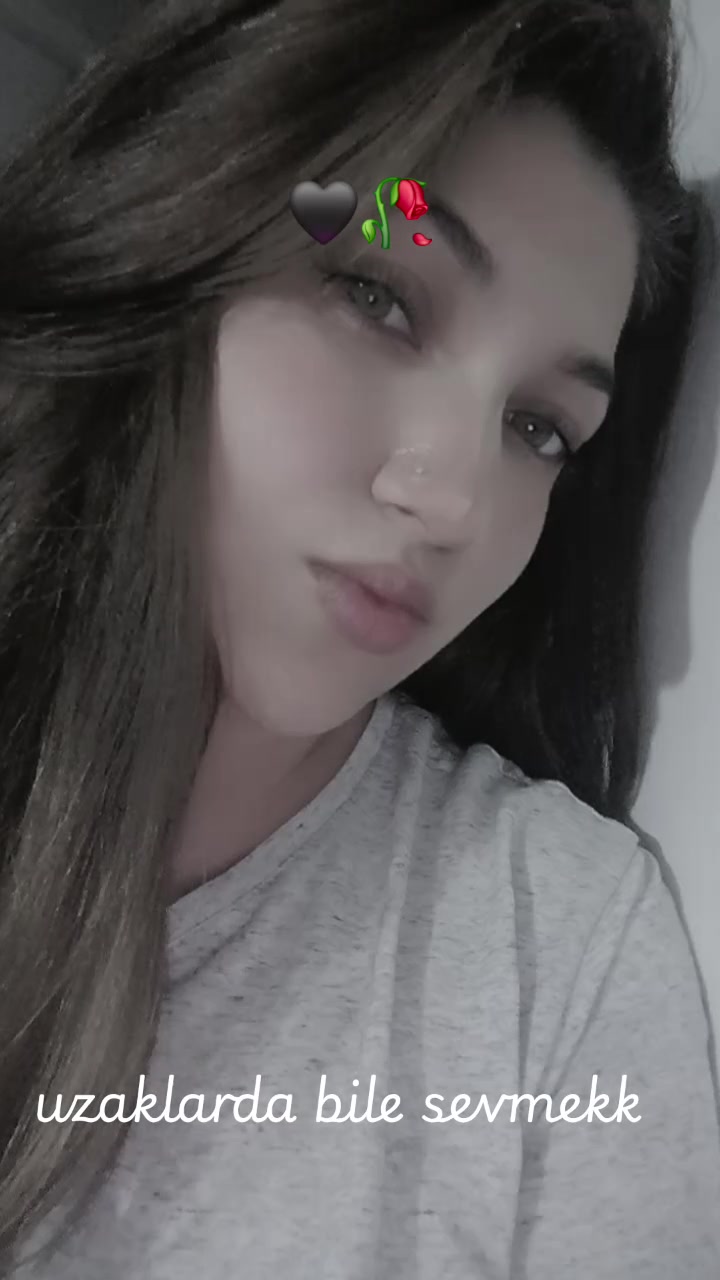 @hayalim 8181