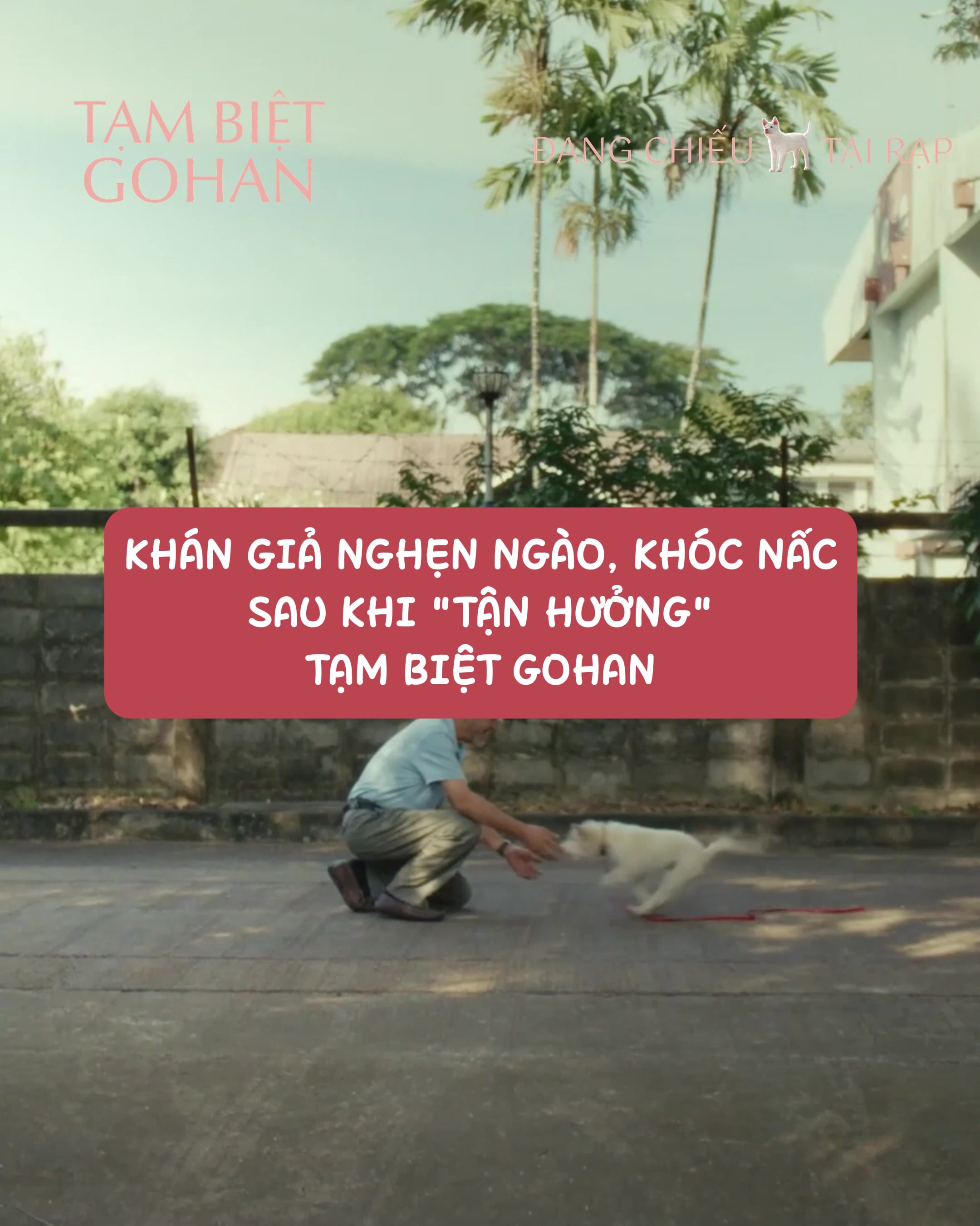 @CJ ENM Vietnam