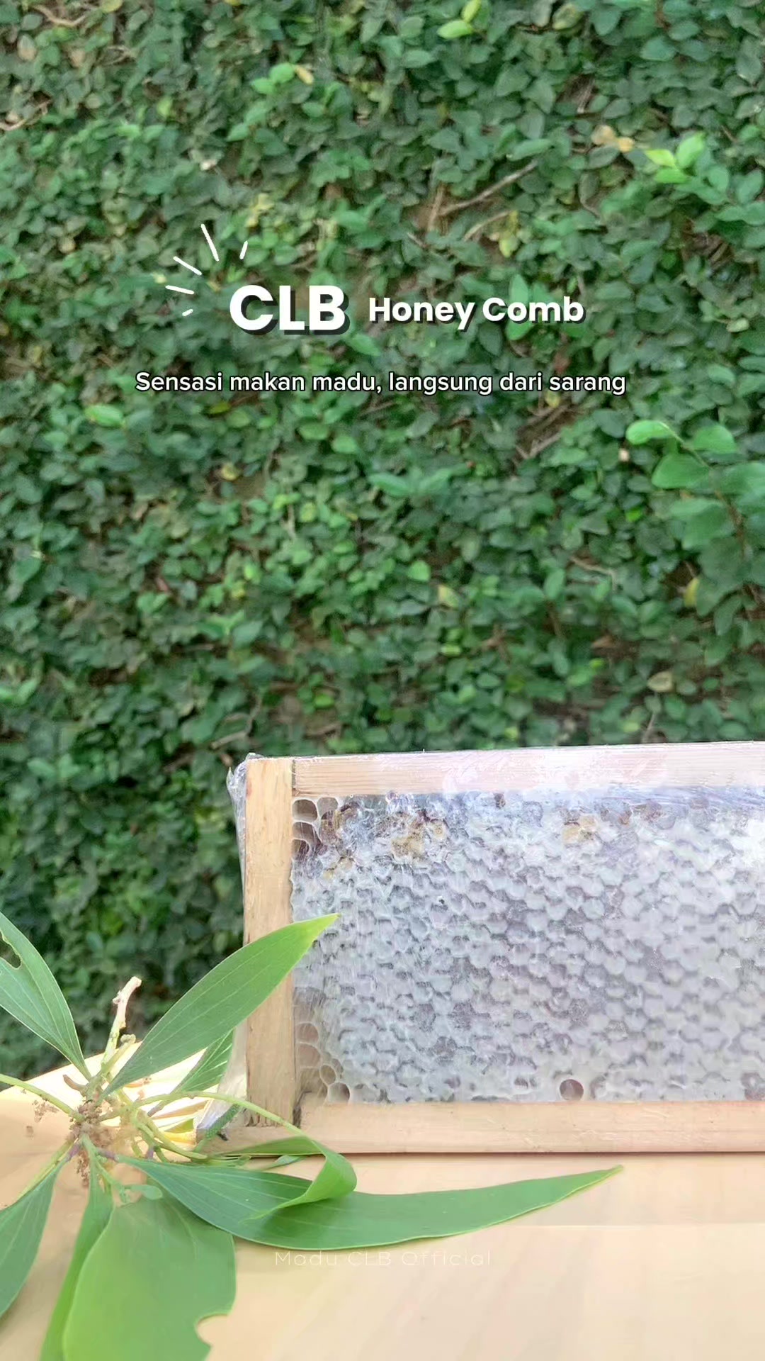 @maduclb🍯