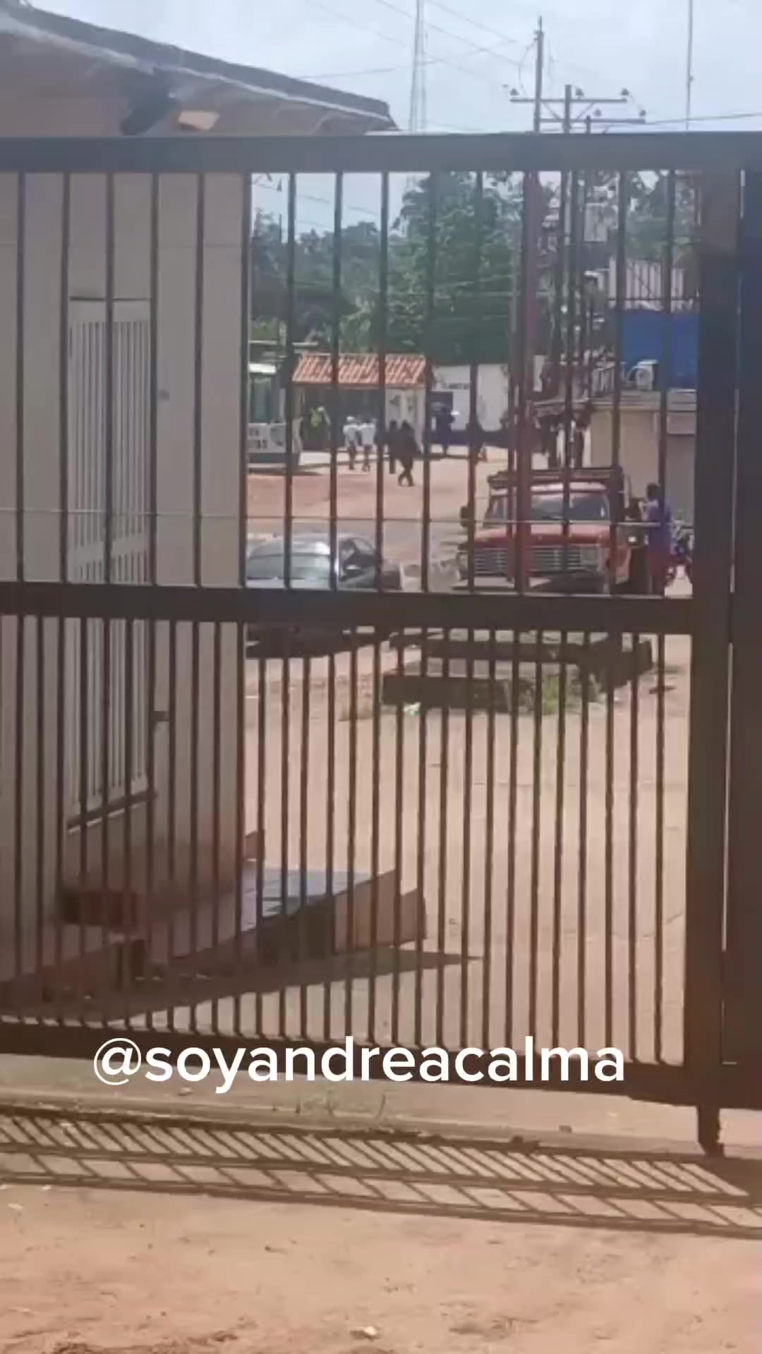 @Andrea Calma