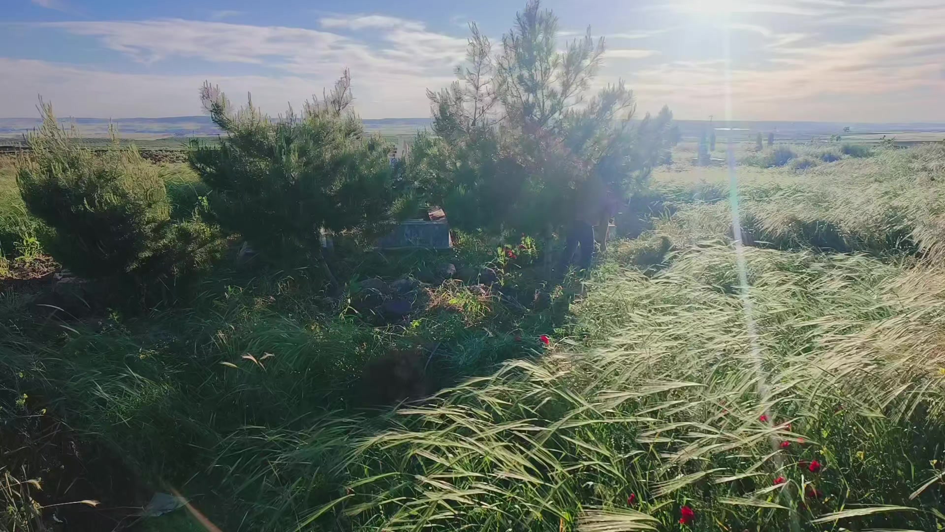 @YuSuF