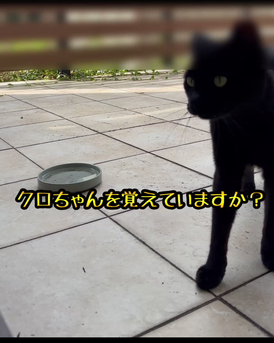@ããããð€ð