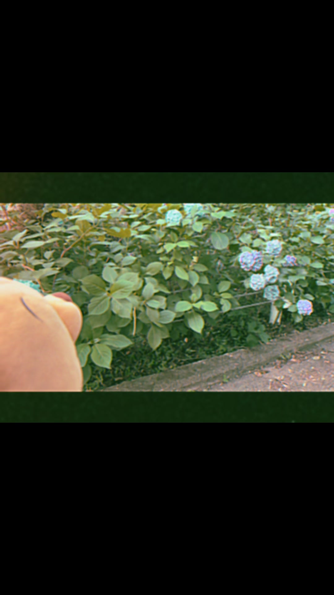 @愛傑夏