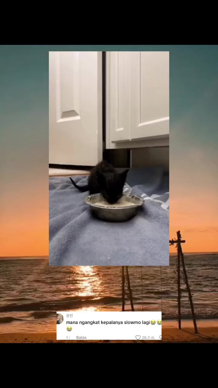 @Kiki