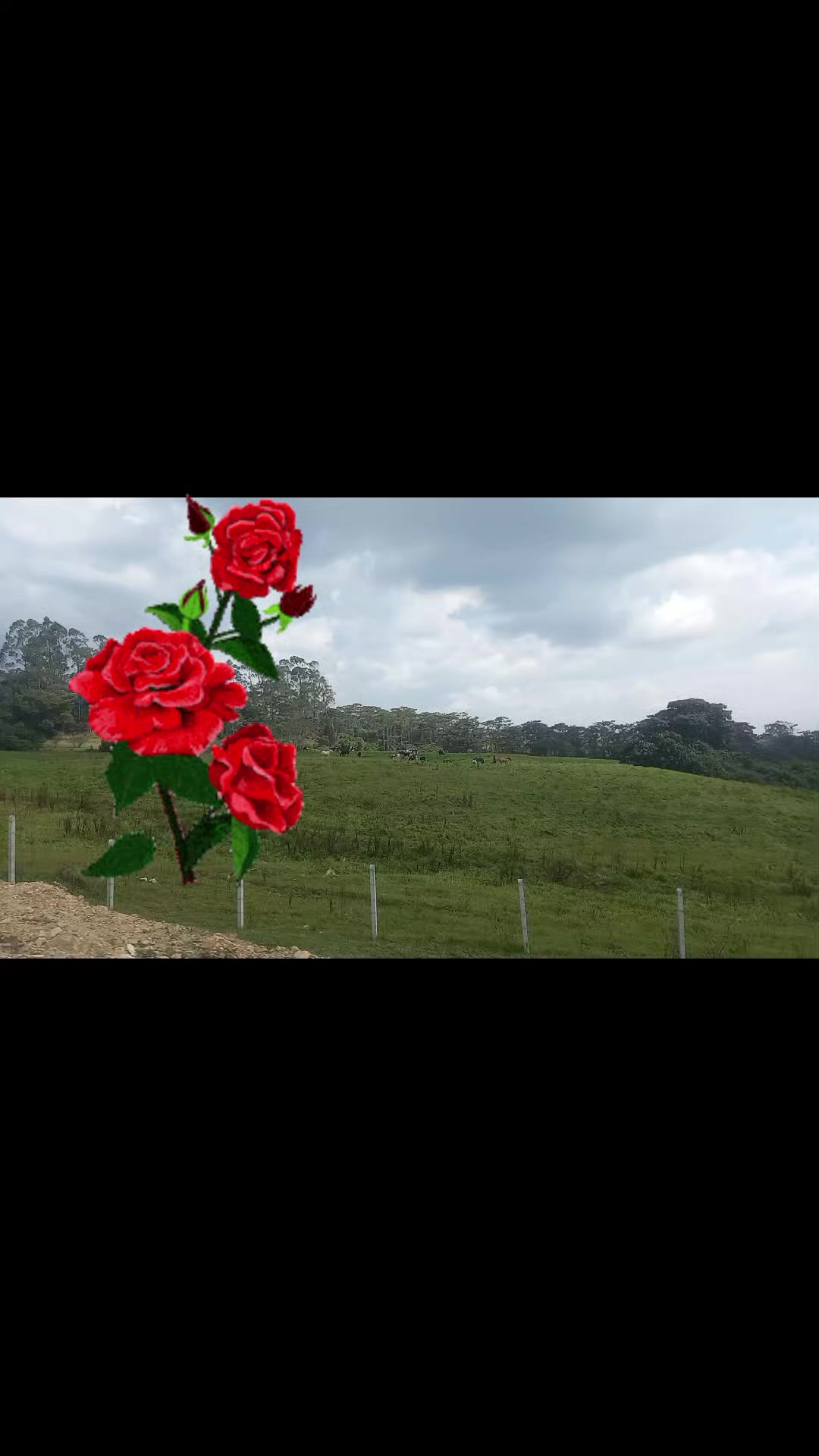 @Godoy Garcia te sigue 🤝💫🌻.