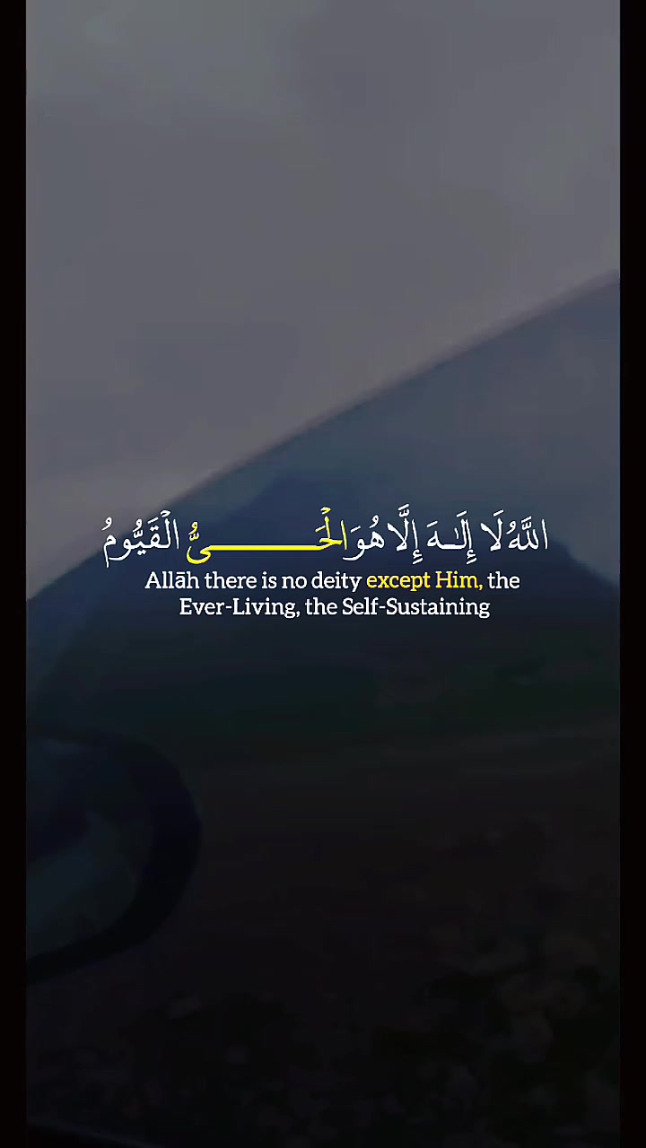 @عابد مفلح