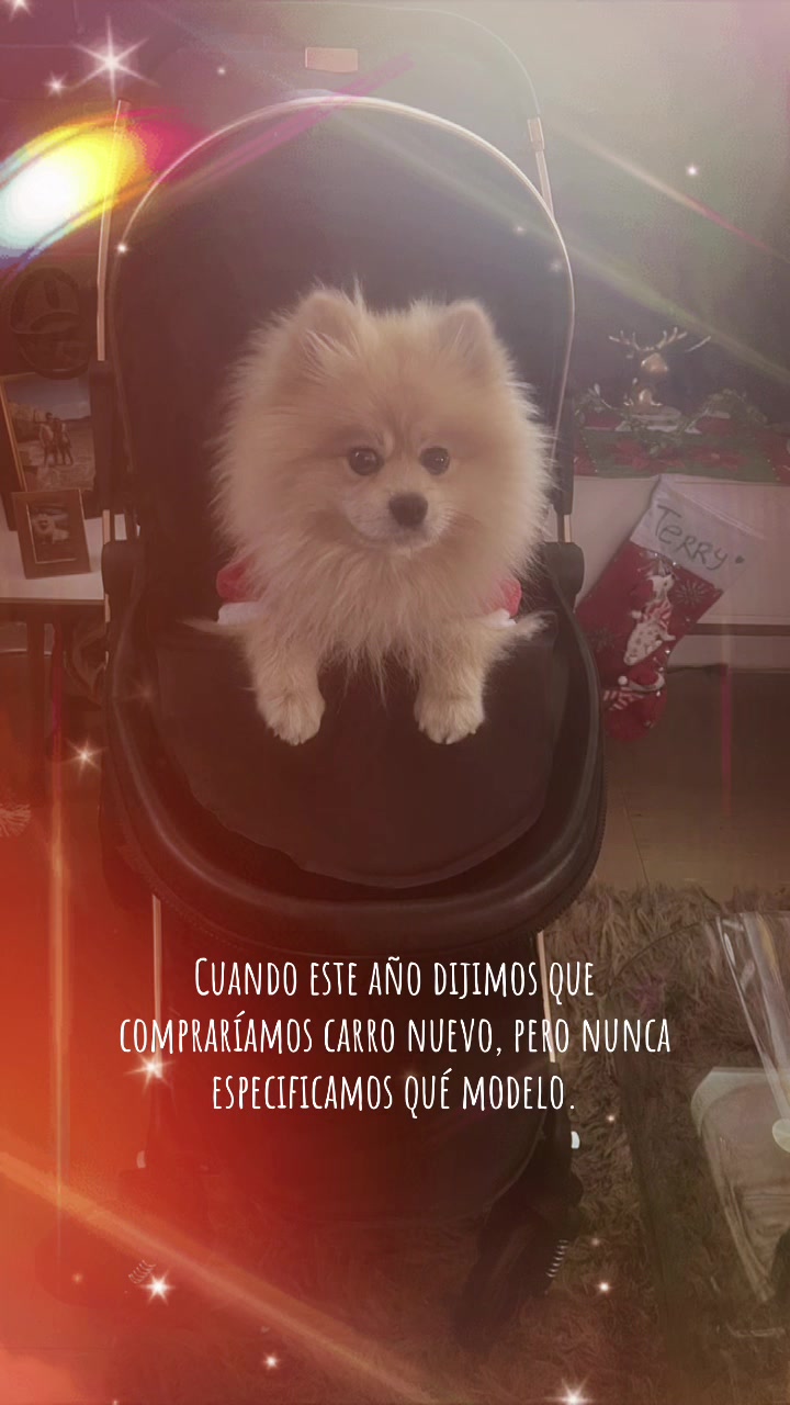 @Territo 🦊 & Tadeo 👶🏻💙💙
