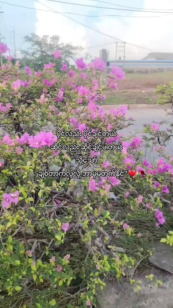 @Zð§žàŸàœ²