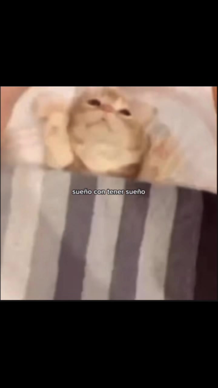 @𝒪𝓳𝓮𝓭𝓪𝓻𝓲𝓸