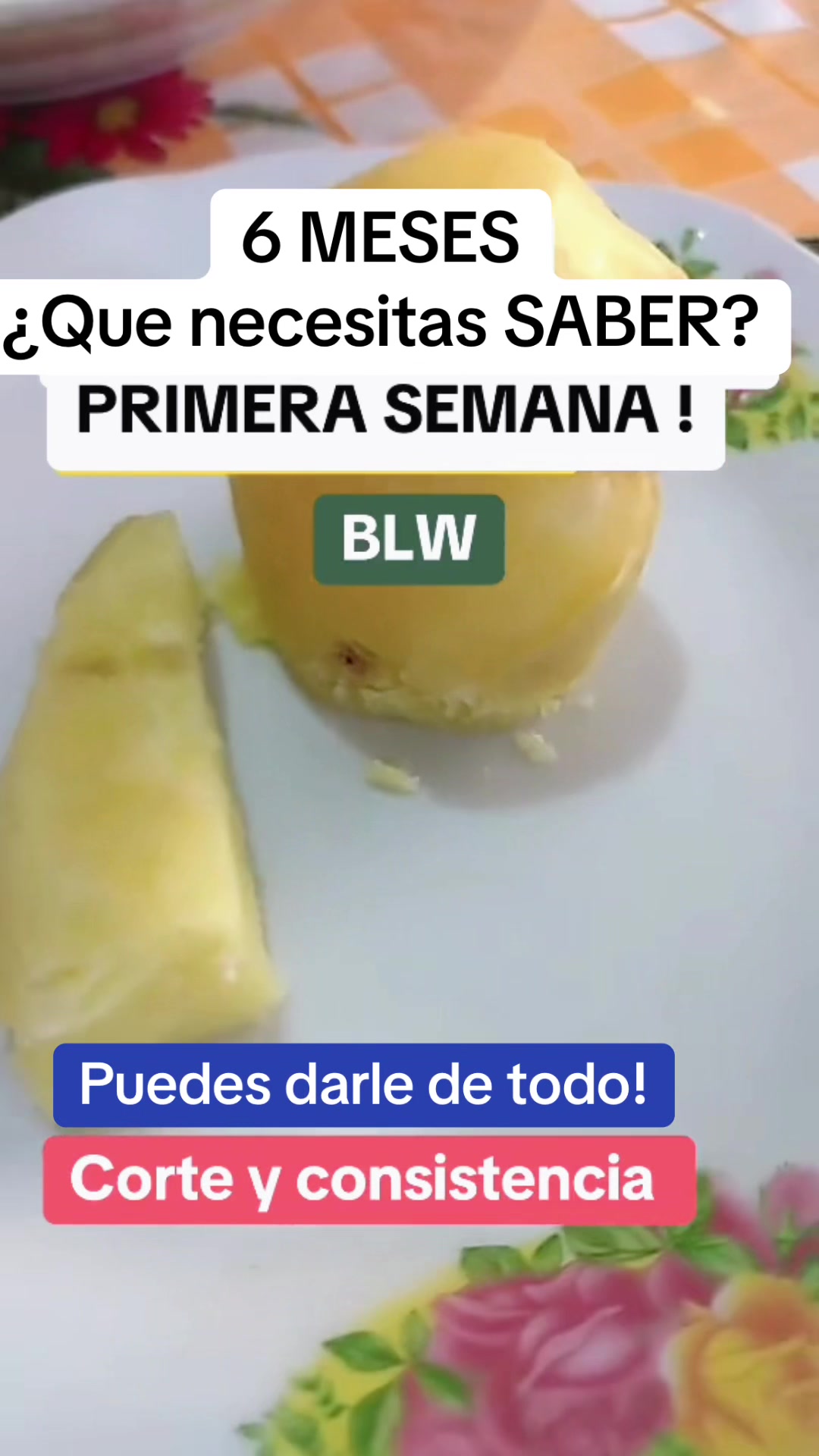 @Nutricionista_andy