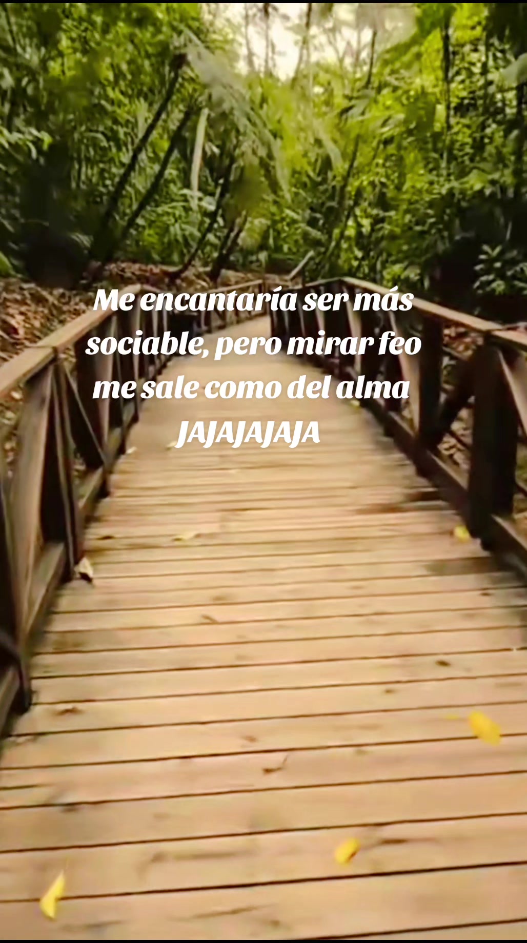@🌻Dulce_Maria🍭
