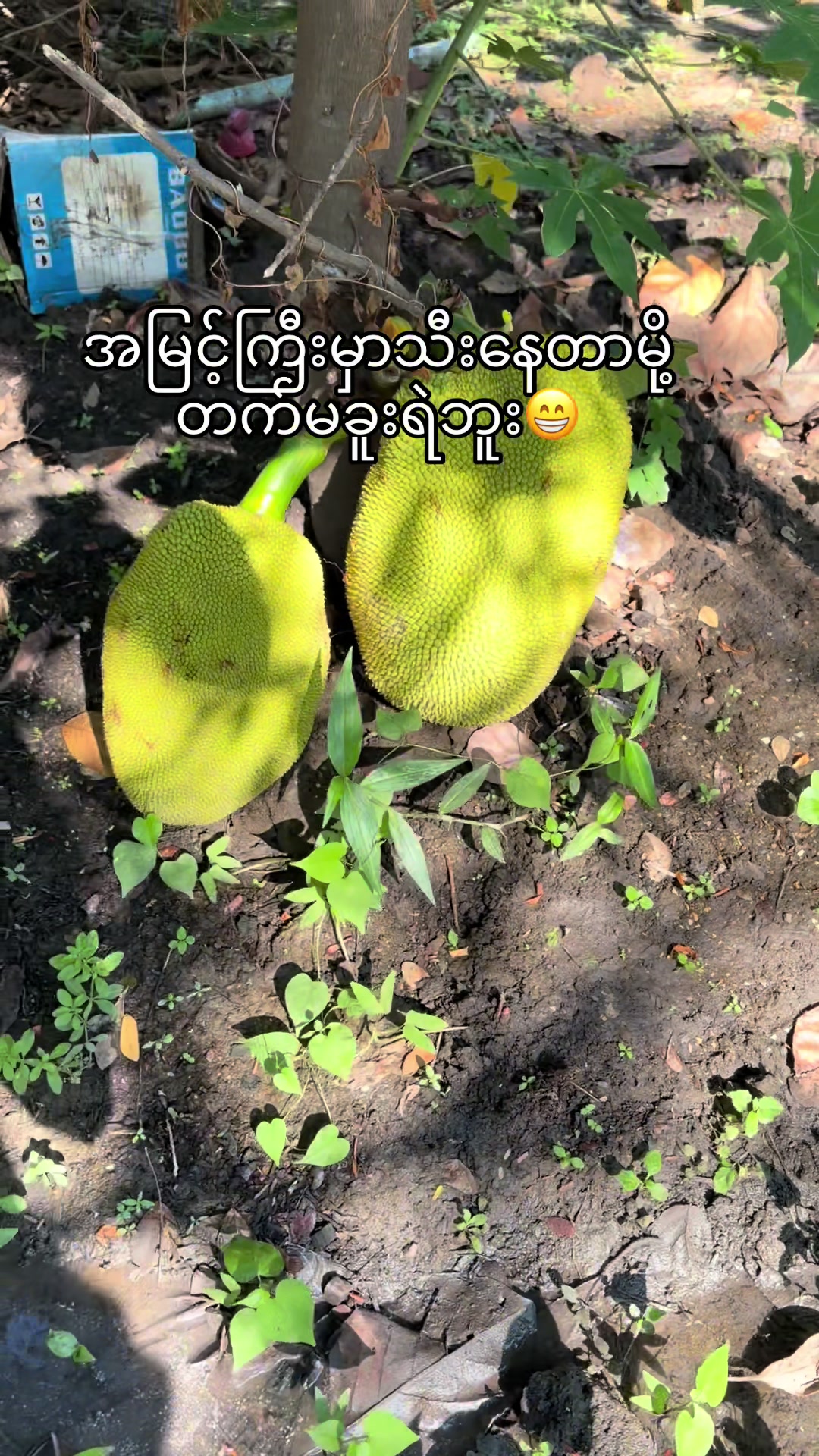 @Nu Nu Wai