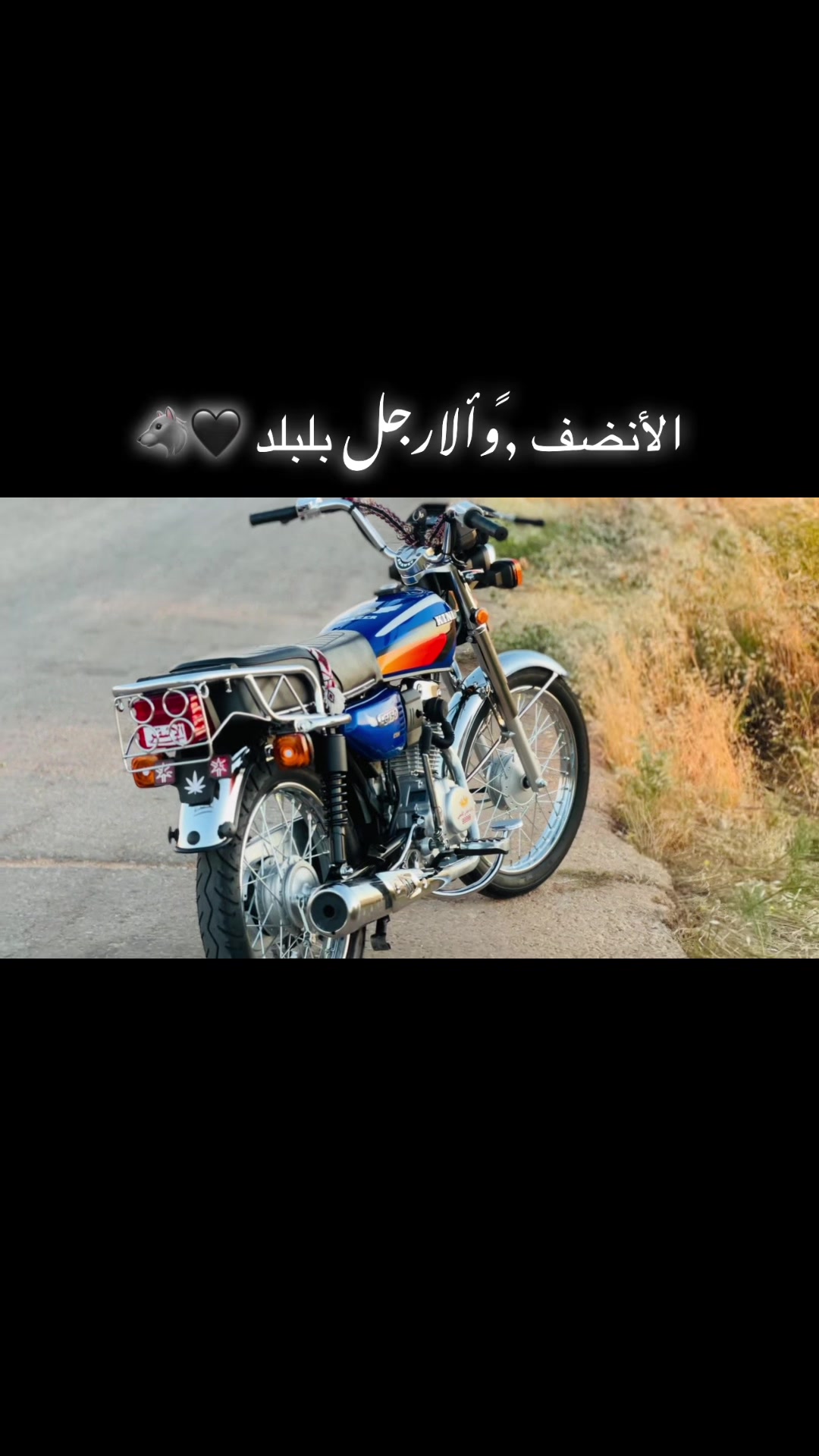 @ ألاشقر ...🤙