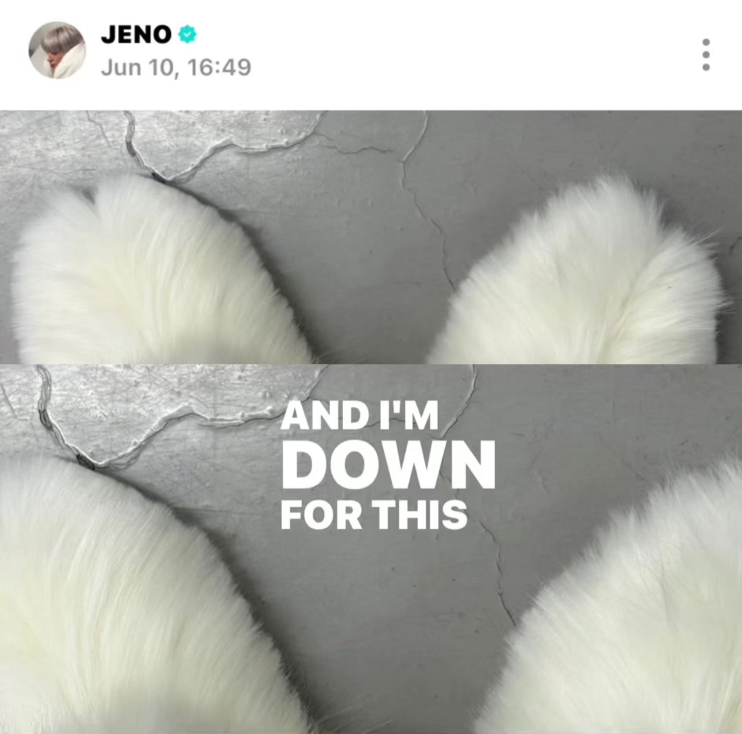 @canssy.