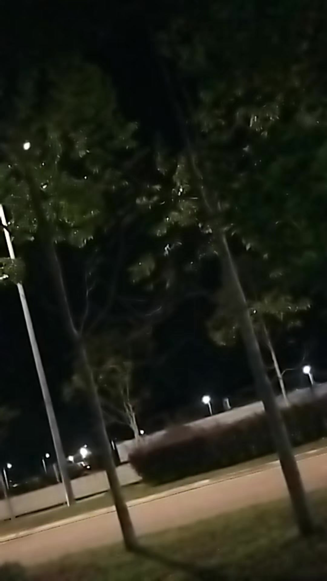@Lucky Charm 02