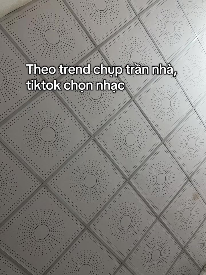@Mậu Dần