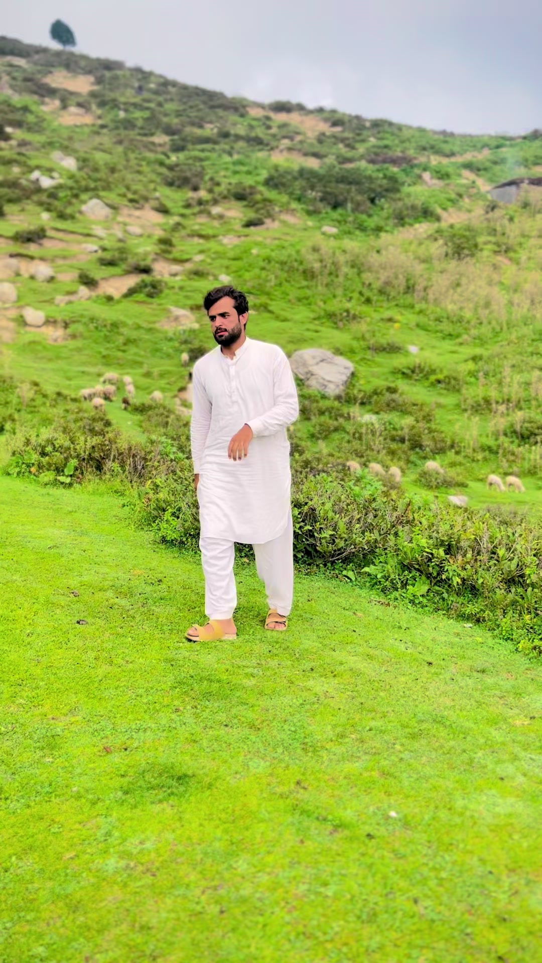 @Mian wajehullah