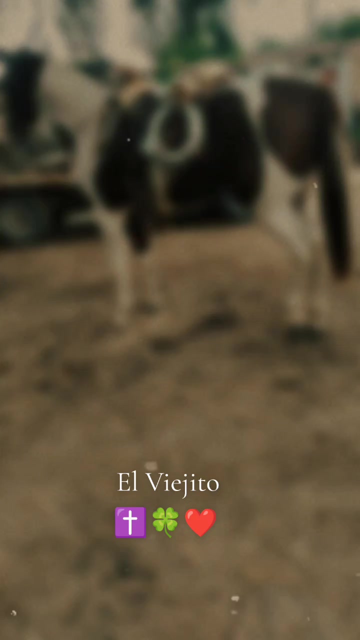 @Viejito Cordova✝️🍀❤️🐎🦅