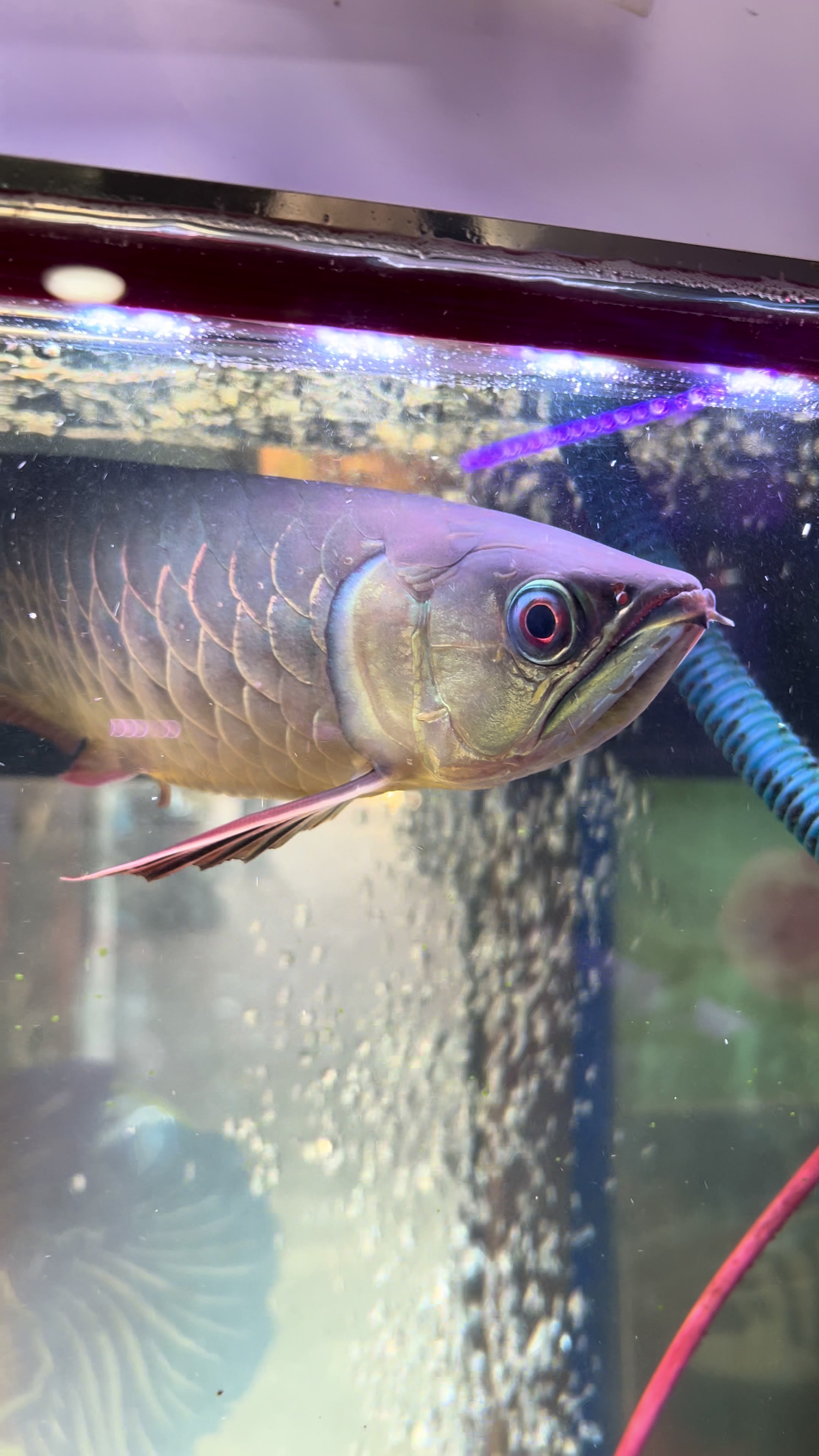 @Aquamandu-Nepal
