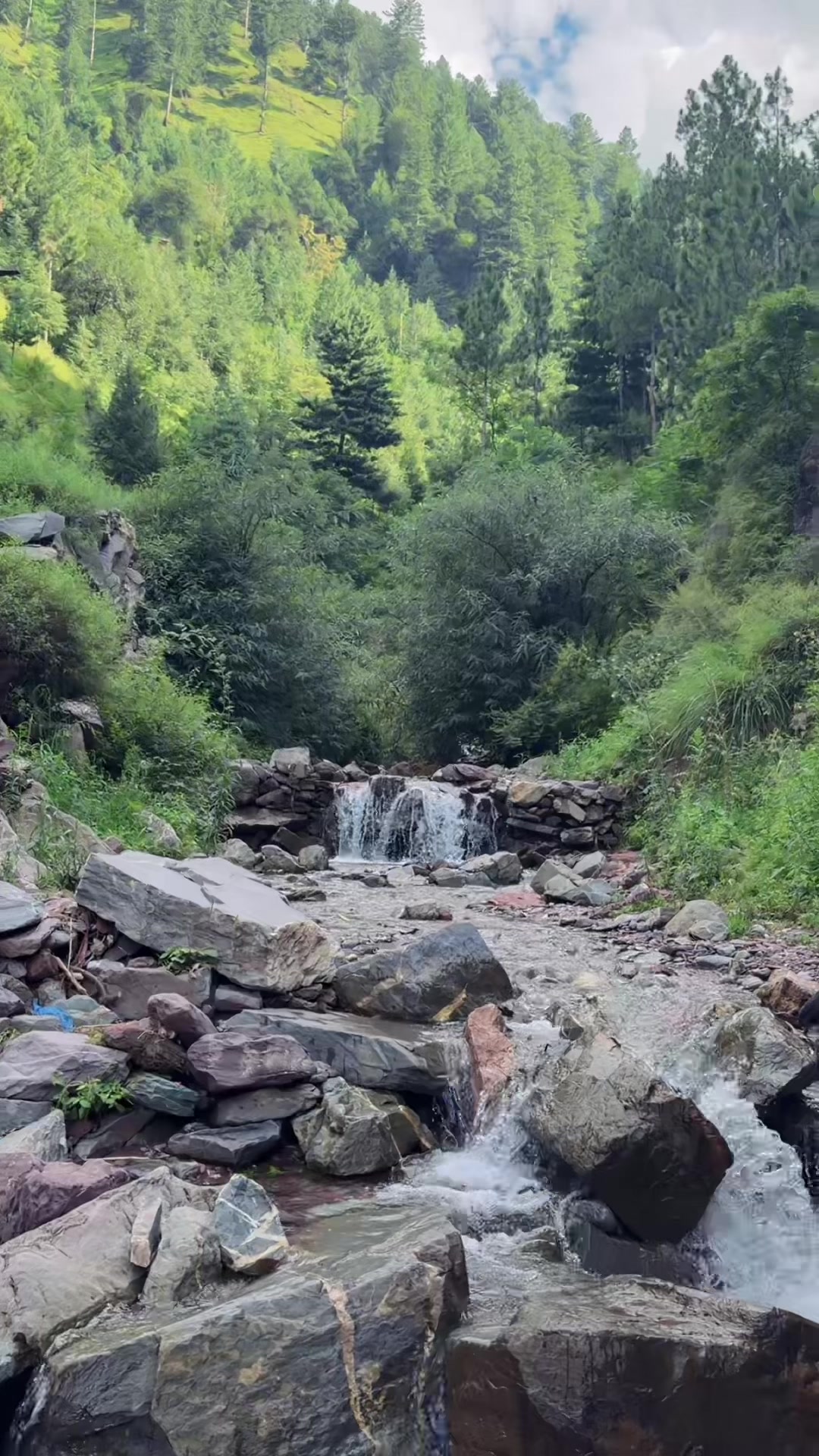 @Neha Ali