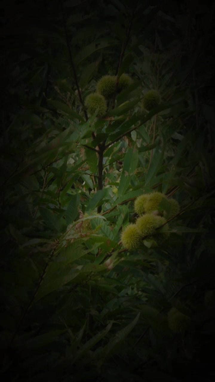 @오아시스