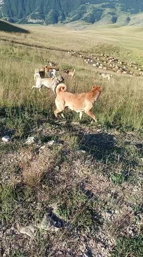 @Füzuli səfərov