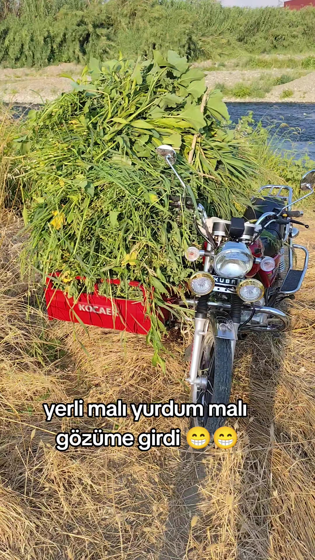 @PİSKO👉TOMBİK{45}