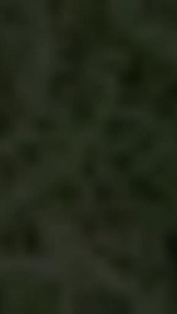 @𝗞 𝗘 𝐒 𝗛 𝗔🦥𝗩 𝗔