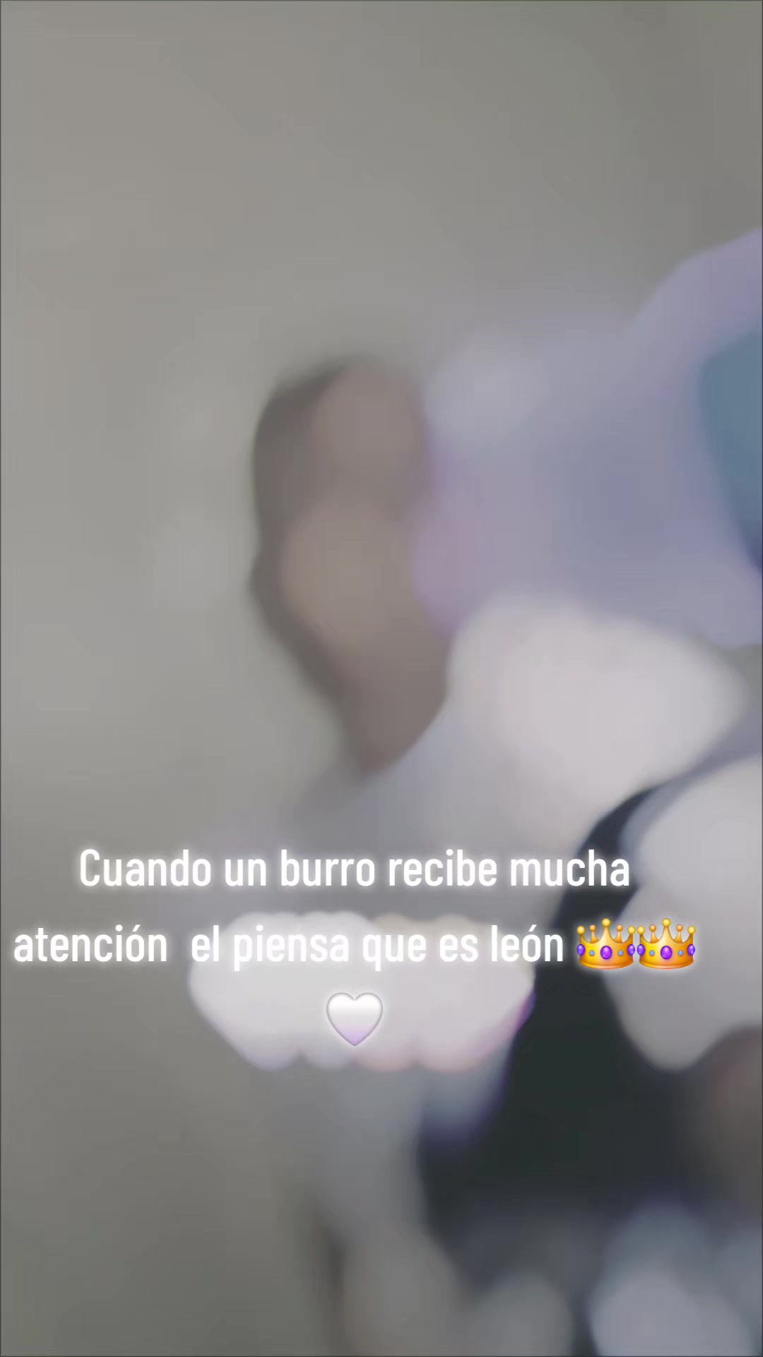 @EX MILITAR 503🤍🇸🇻