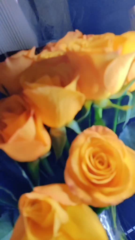 @💞నేను.మీ.రాజమండ్రి.అబ్బాయి 💞