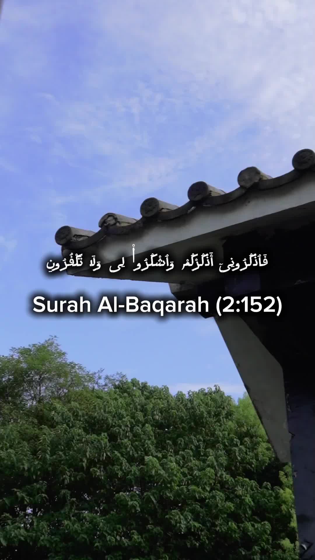 @Amjad