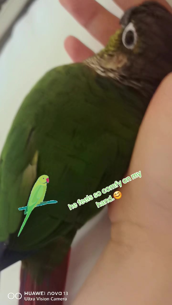 @Celsomeeer_0514