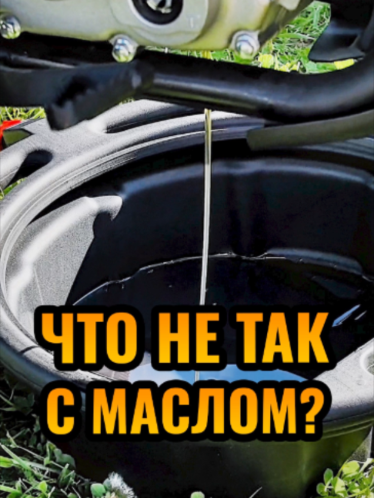 @Илья Ленц | КвадроБаза