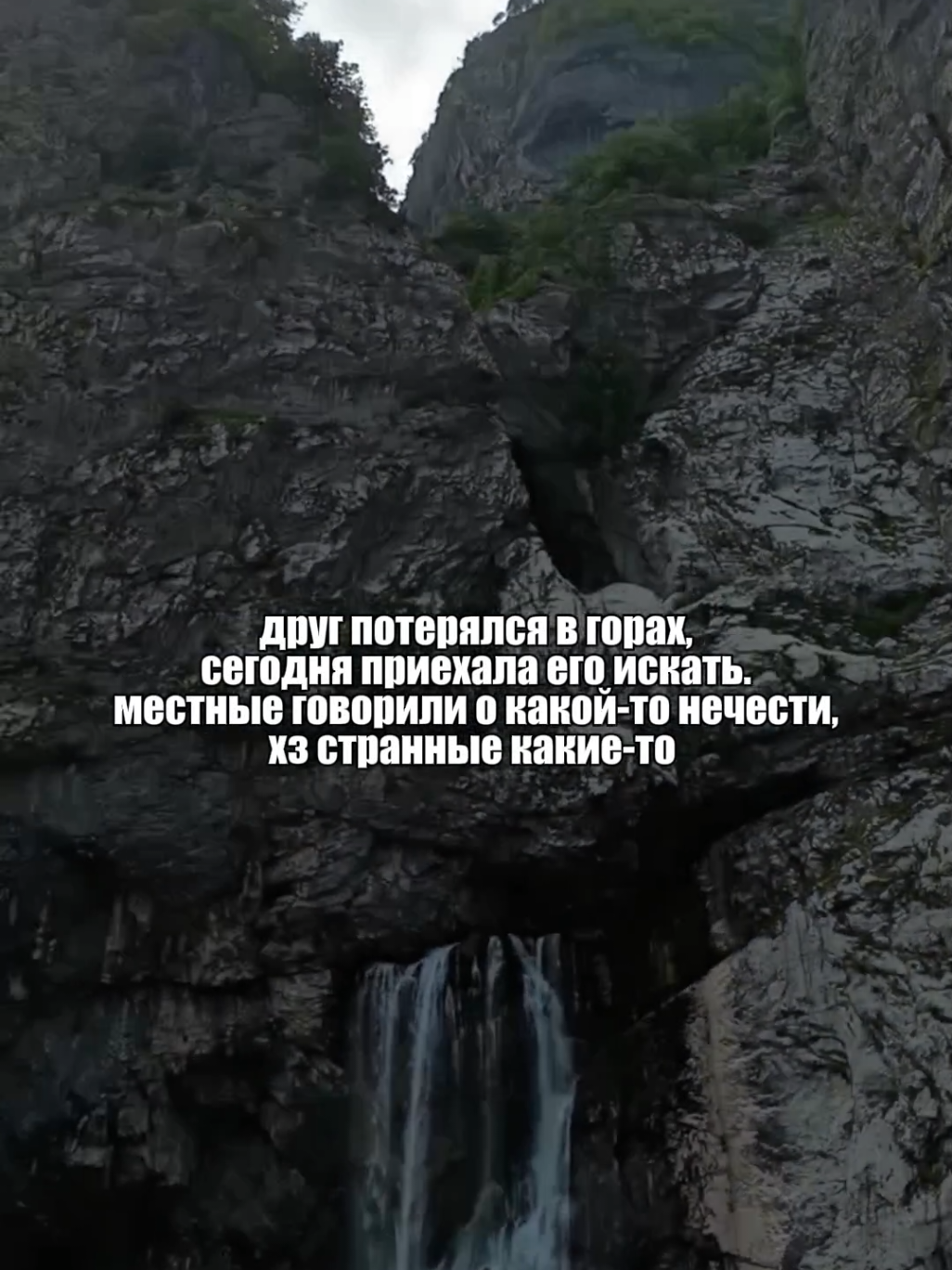 @алиса