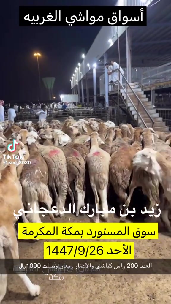 @mohamed_ksa0