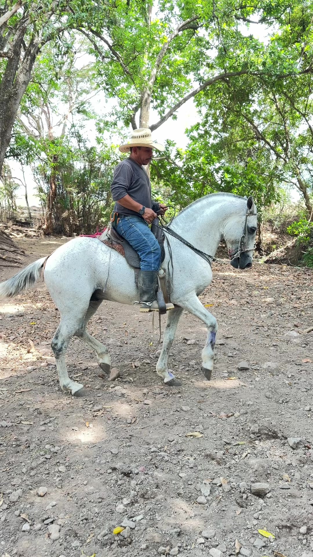 @Onell G. Henríquez