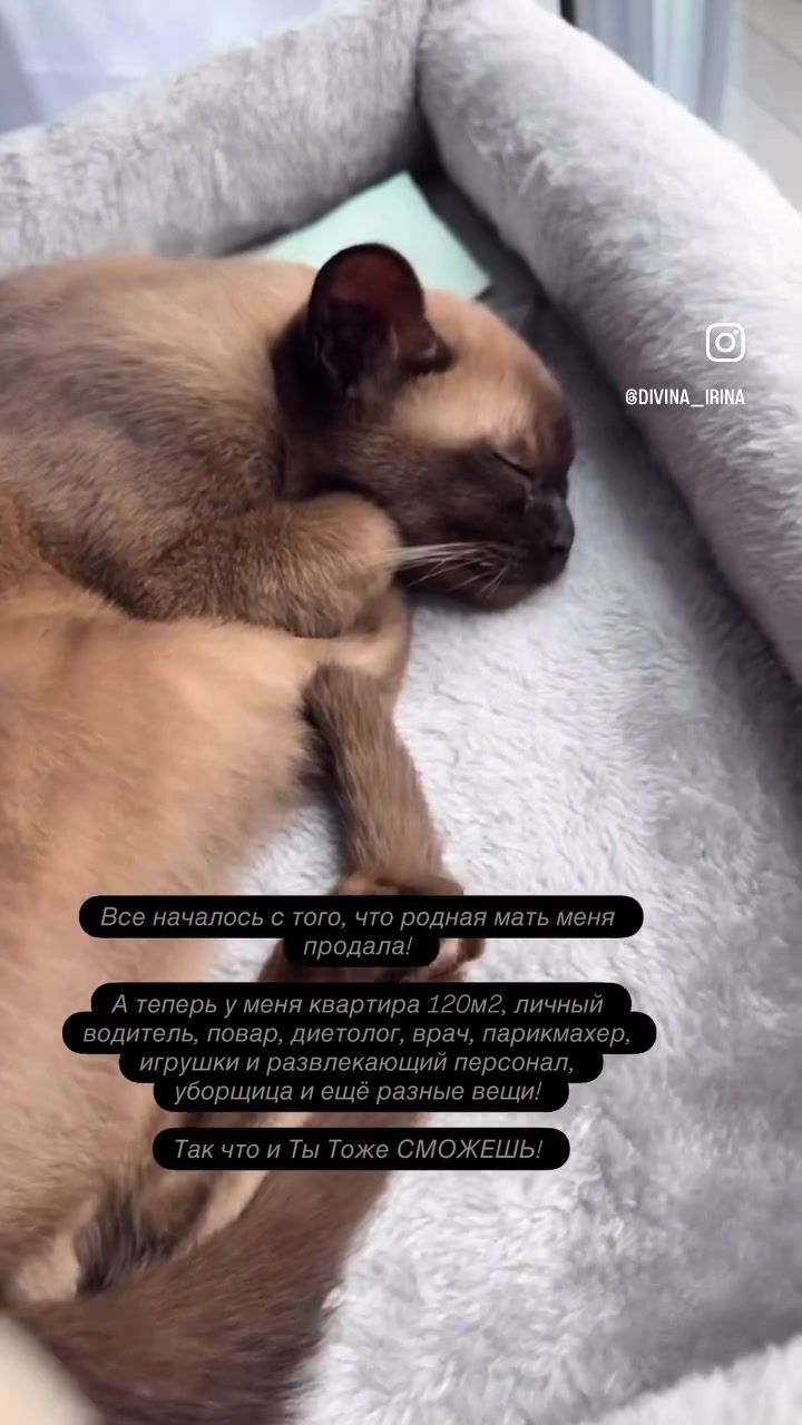 @divina_irina_