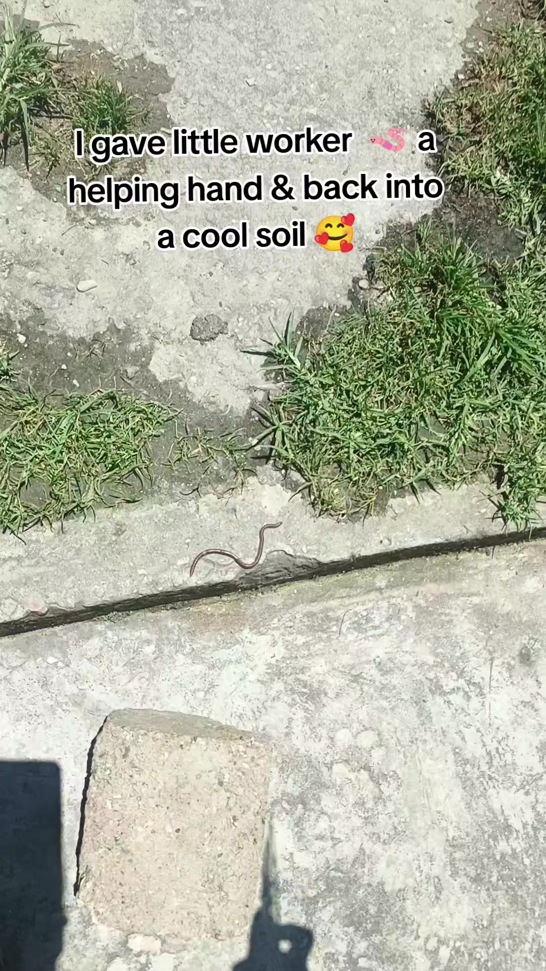 @Belmo Zaya