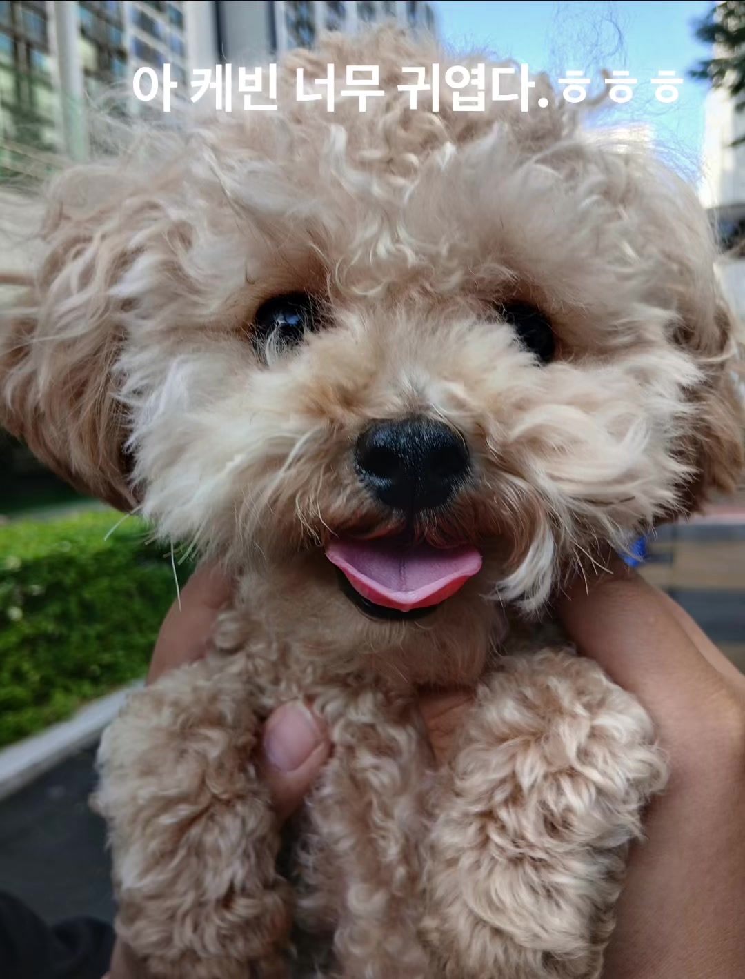 @외로운 강둥이