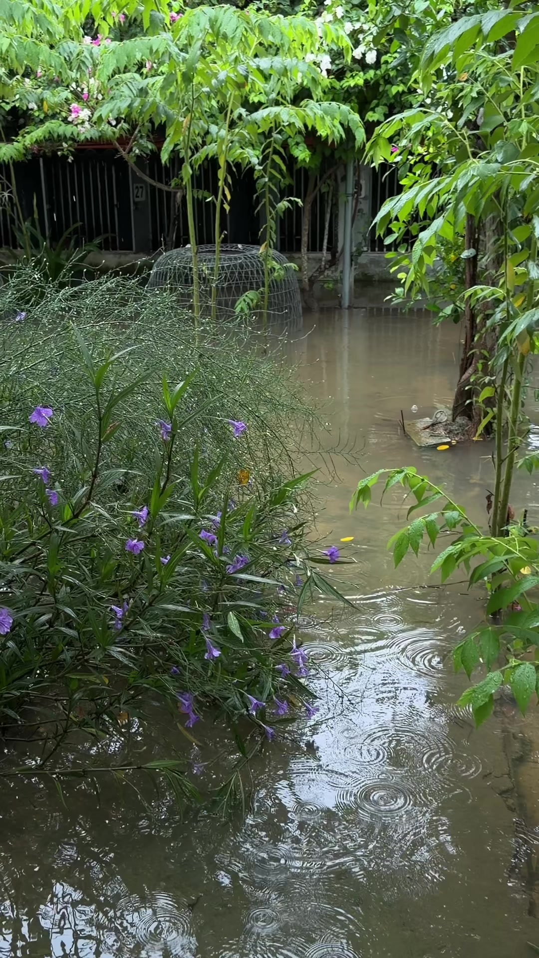 @Quốc khánh