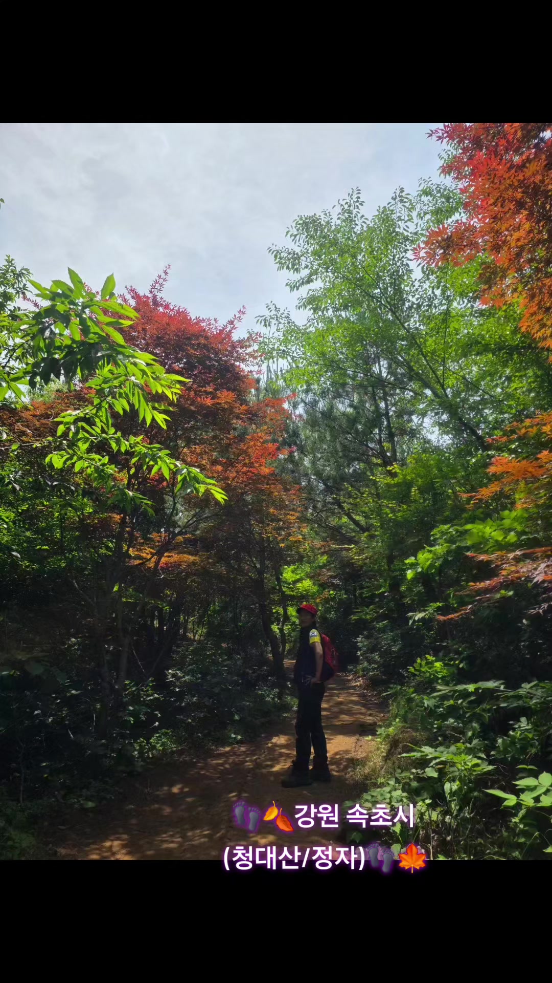 @빛별은별