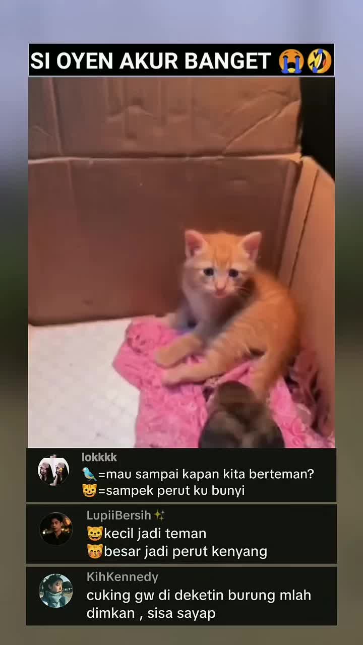 @Kiki