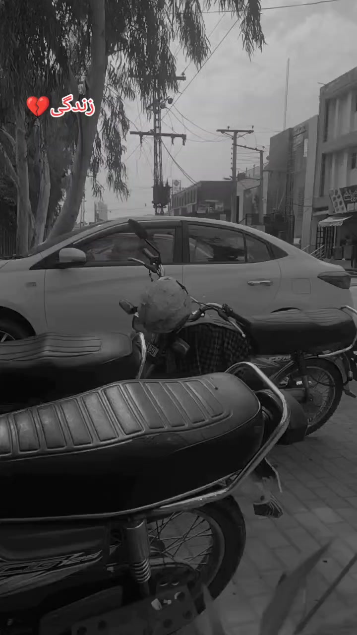 @رانا صفدر بھٹی  (ننکانے آلہ)