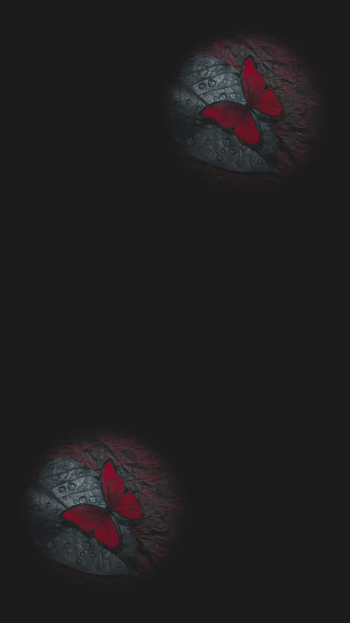 @☆꧁✬◦&deg;˚&deg;◦. 𝓐𝓶𝓶𝓾.◦&deg;˚&deg;◦✬꧂☆