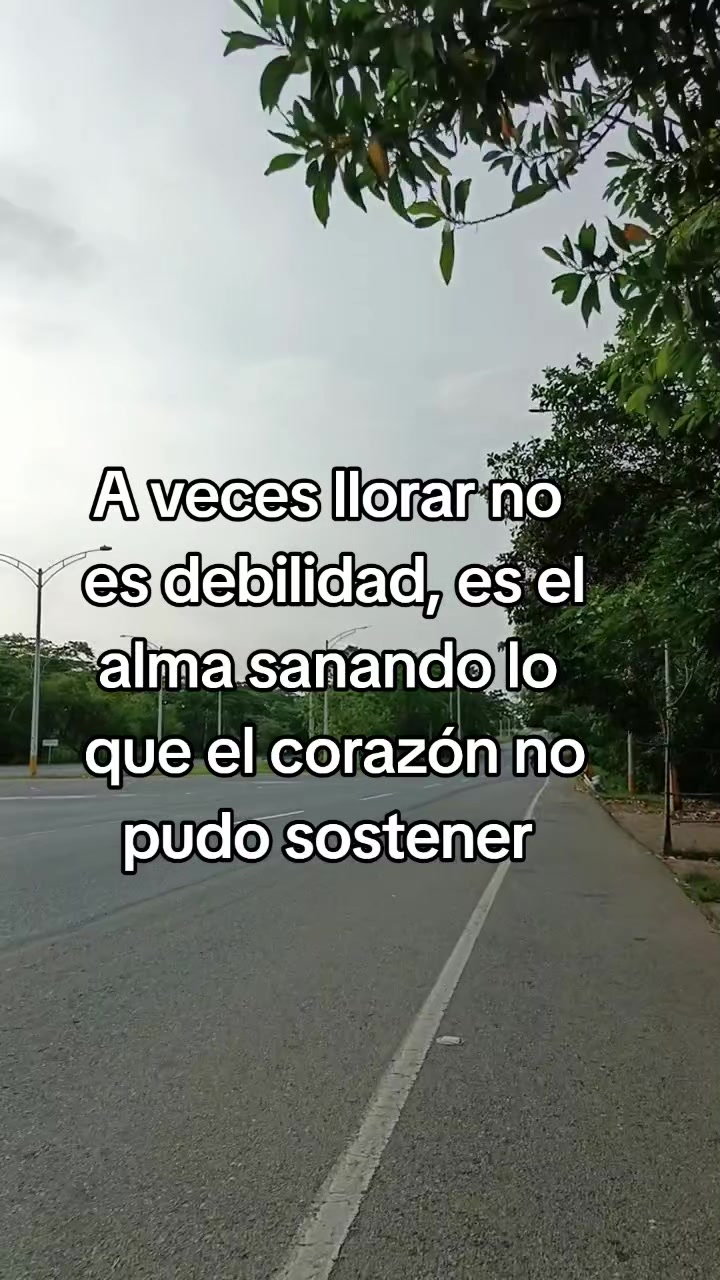 @luz