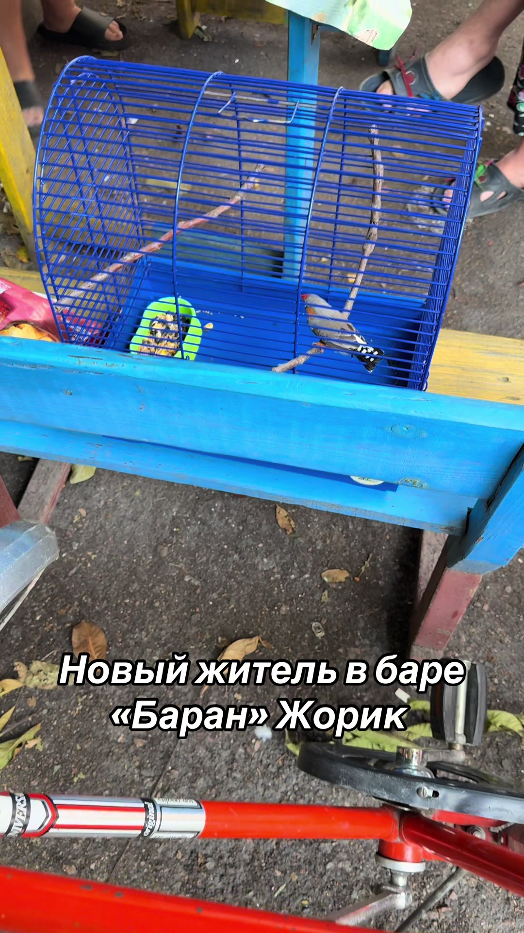 @Принцесса Молдаванки 🕊️