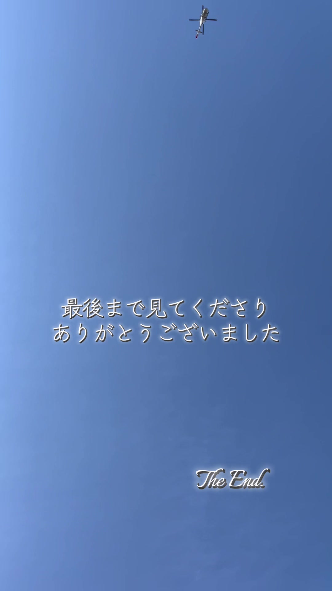 @柴犬はな🐾