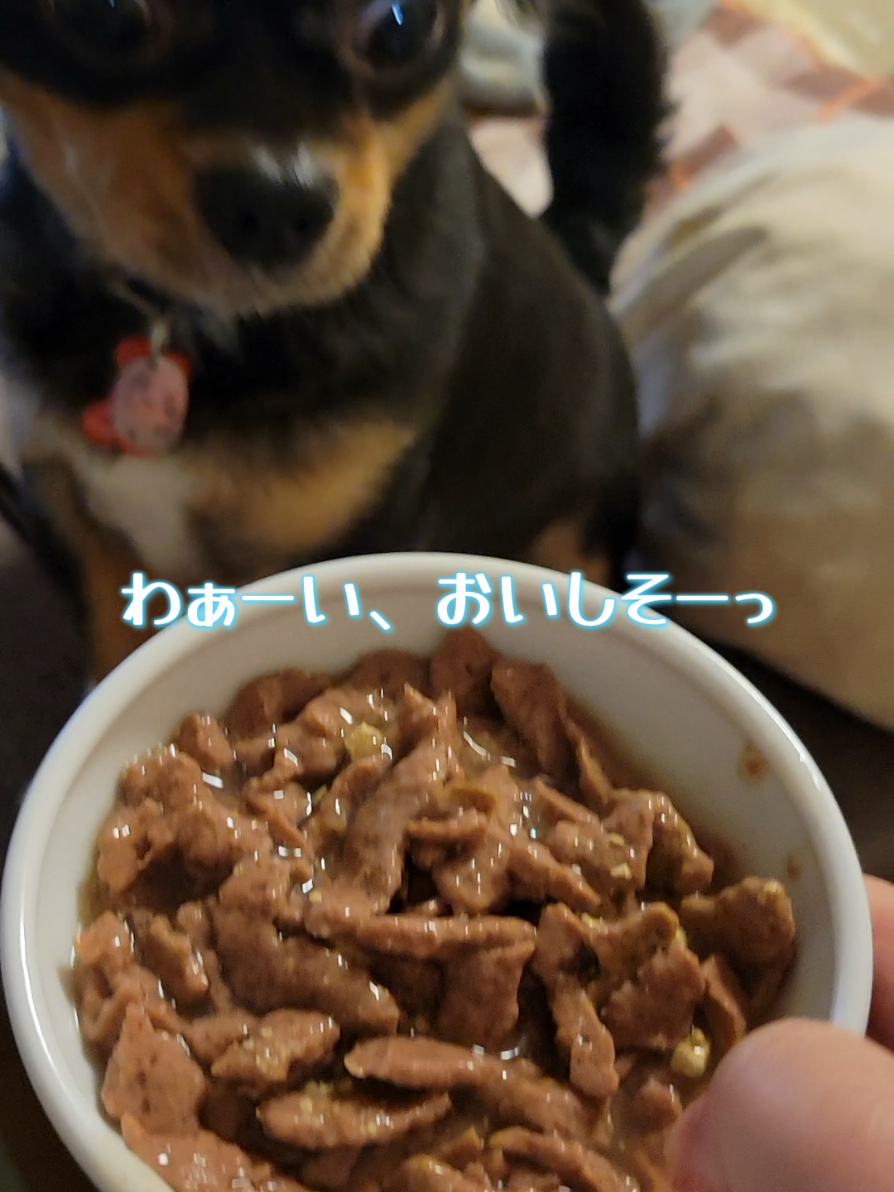@くぅ♂︎成長日記♡