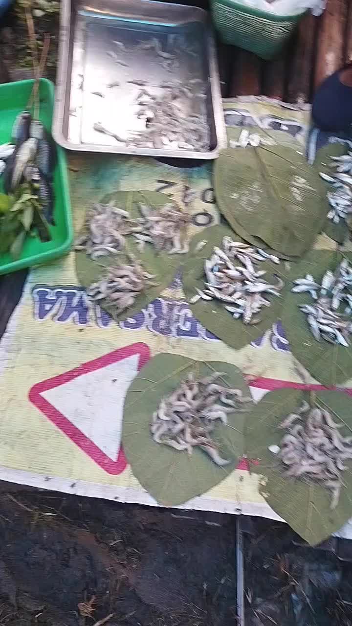@Nila Mentari