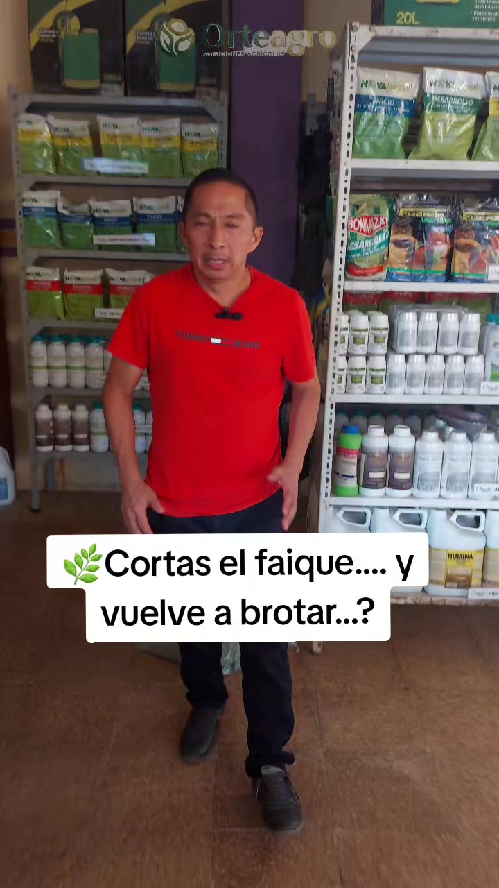 @Orteagro